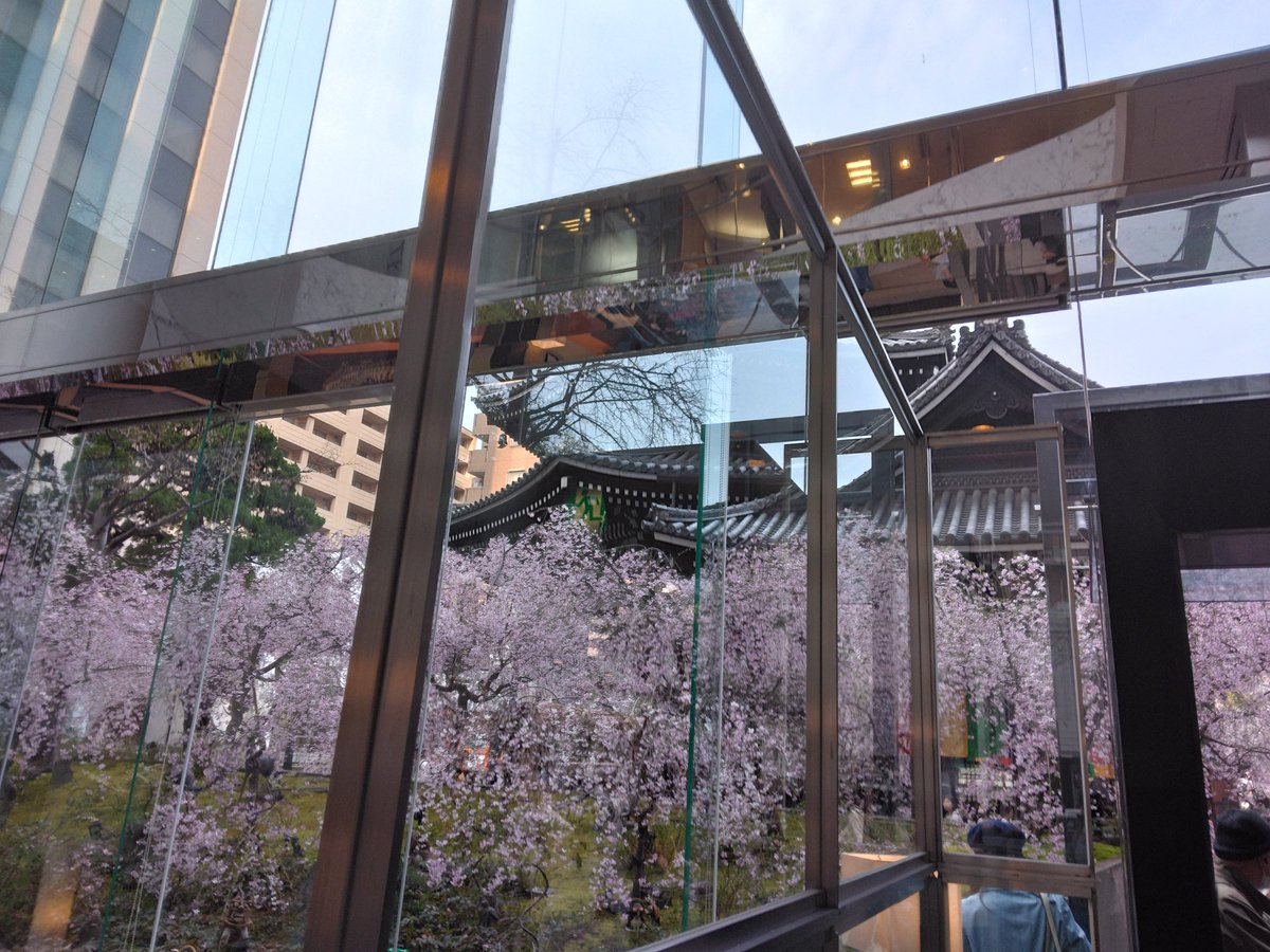 ラサ１５ tweet media