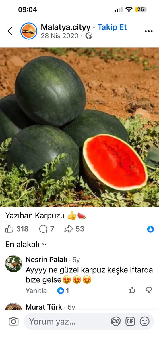 Lütfi Polat tweet media