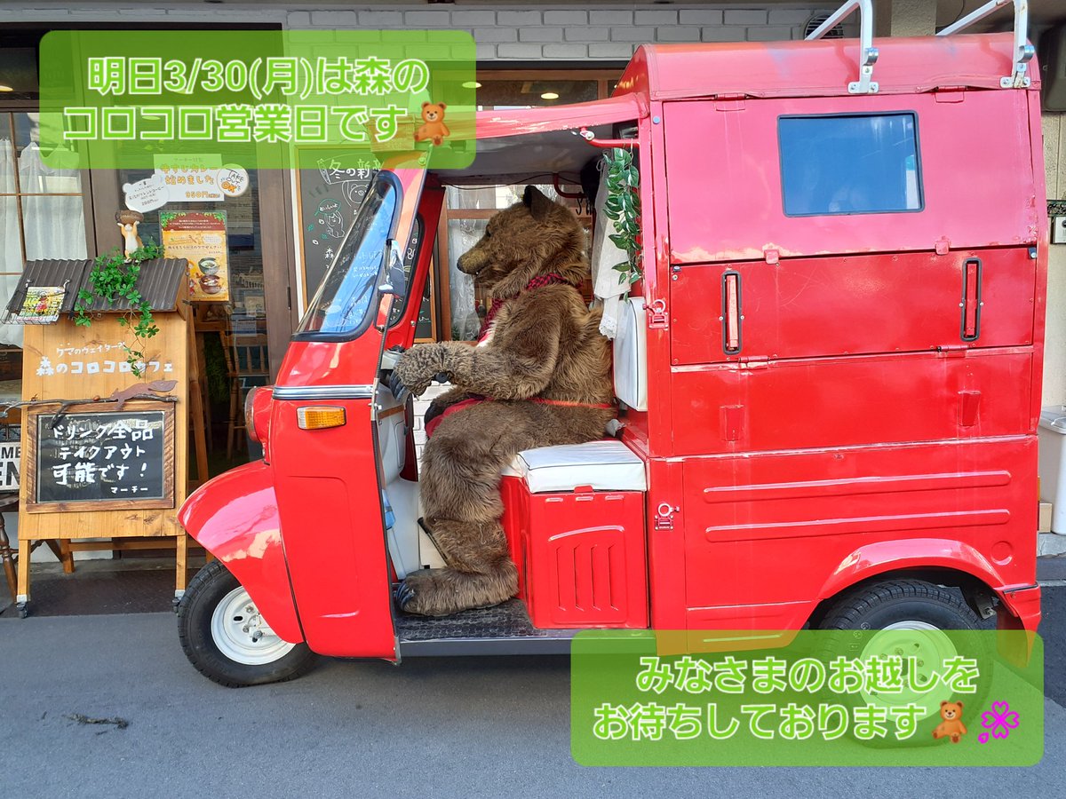 こんばんは🌃
明日3/30(月)は森のコロコロカフェ営業日です🧸🌸
最近は春休みということもありたくさんの方にお越し頂きましてありがとうございます🥺✨

今日はちょっと珍しい？！横からのマーチーの姿をパシャリ📷️✨🧸
お腹周りがぽっちゃりですねぇ🤭♥️