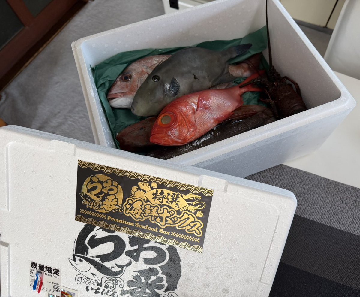 Abac0716's tweet photo. うお1番
かねこさんは居なかったけど無事海鮮ボックス買えた！
開けた瞬間当たり箱かと思ったぐらい魚種がいっぱいで驚きでした。
｢鯛、ウマヅラハギ、金目鯛、ホウボウ、クロムツ、伊勢海老｣ https://t.co/U3qX3FchUw
