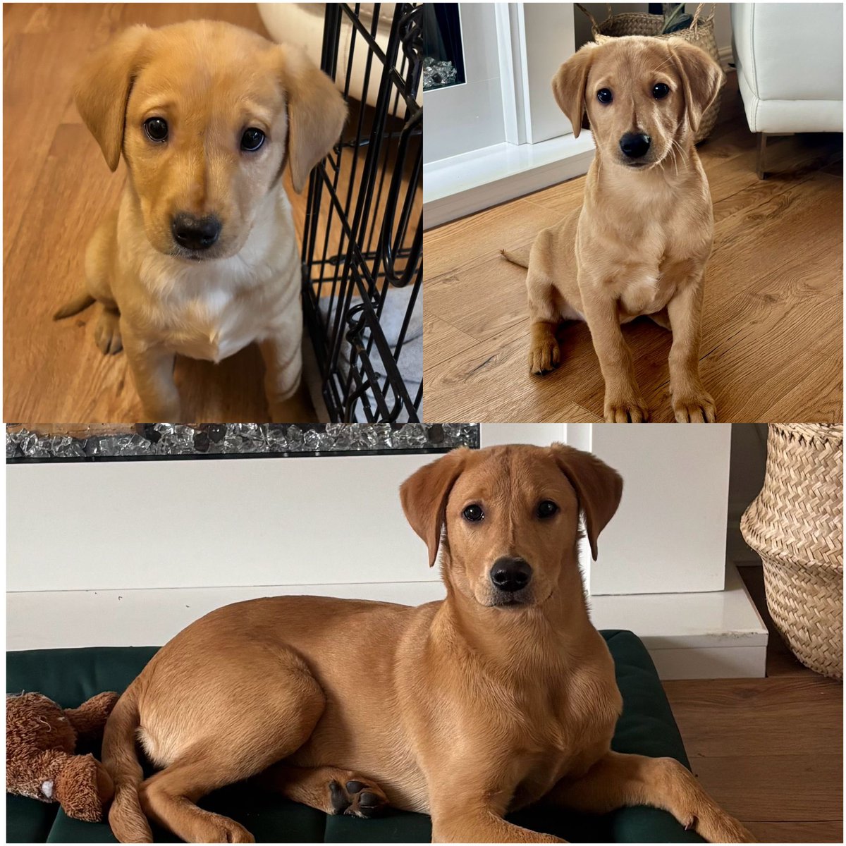 Mark & Kelly tweet media