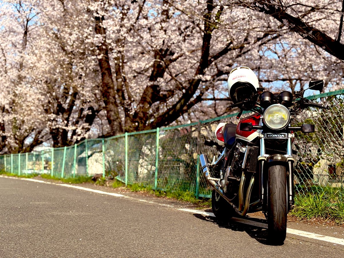FRF_Traction's tweet photo. 桜を見に🌸
ちょこっとでも乗れてよかった https://t.co/h6eSNYJldi