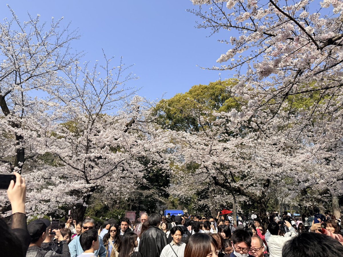 AA｜链上交易员 tweet media