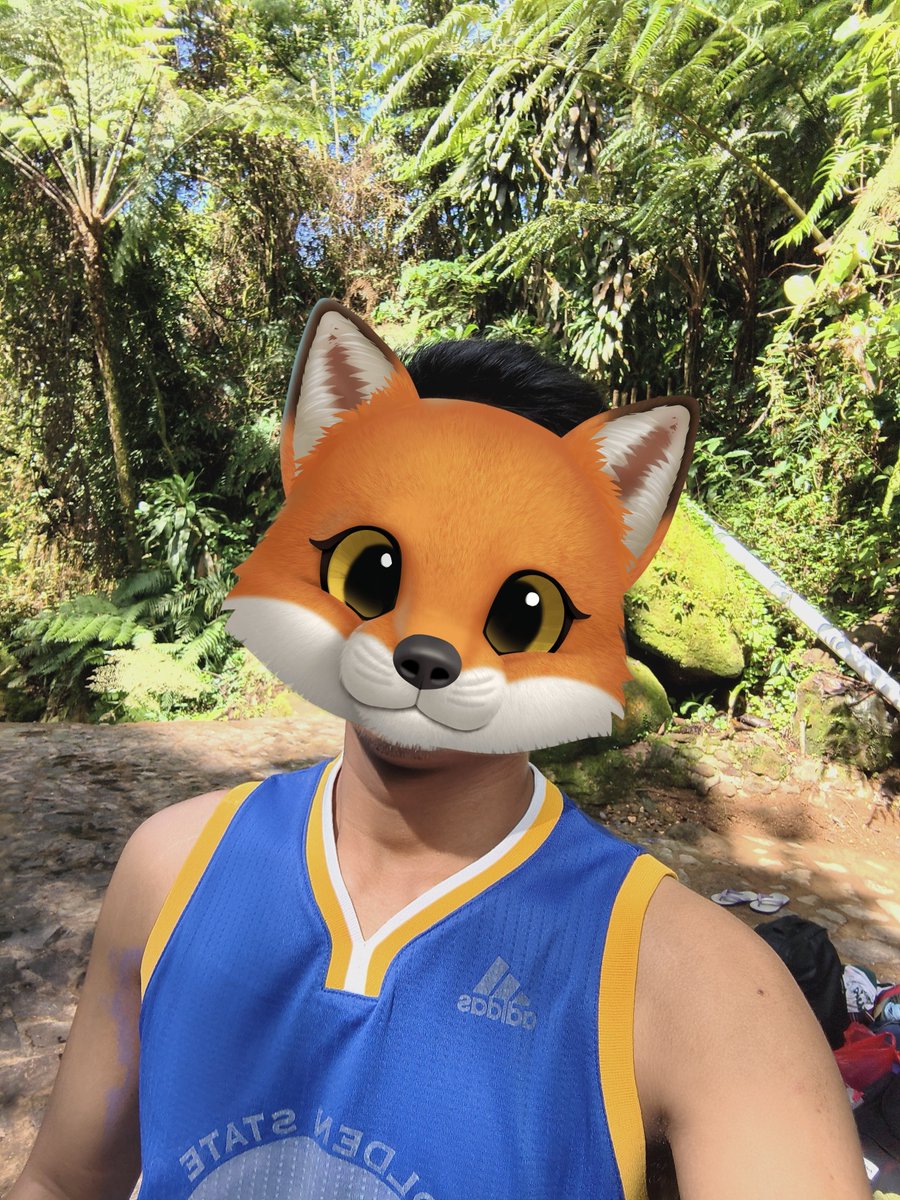 Romeo & Adit tweet media