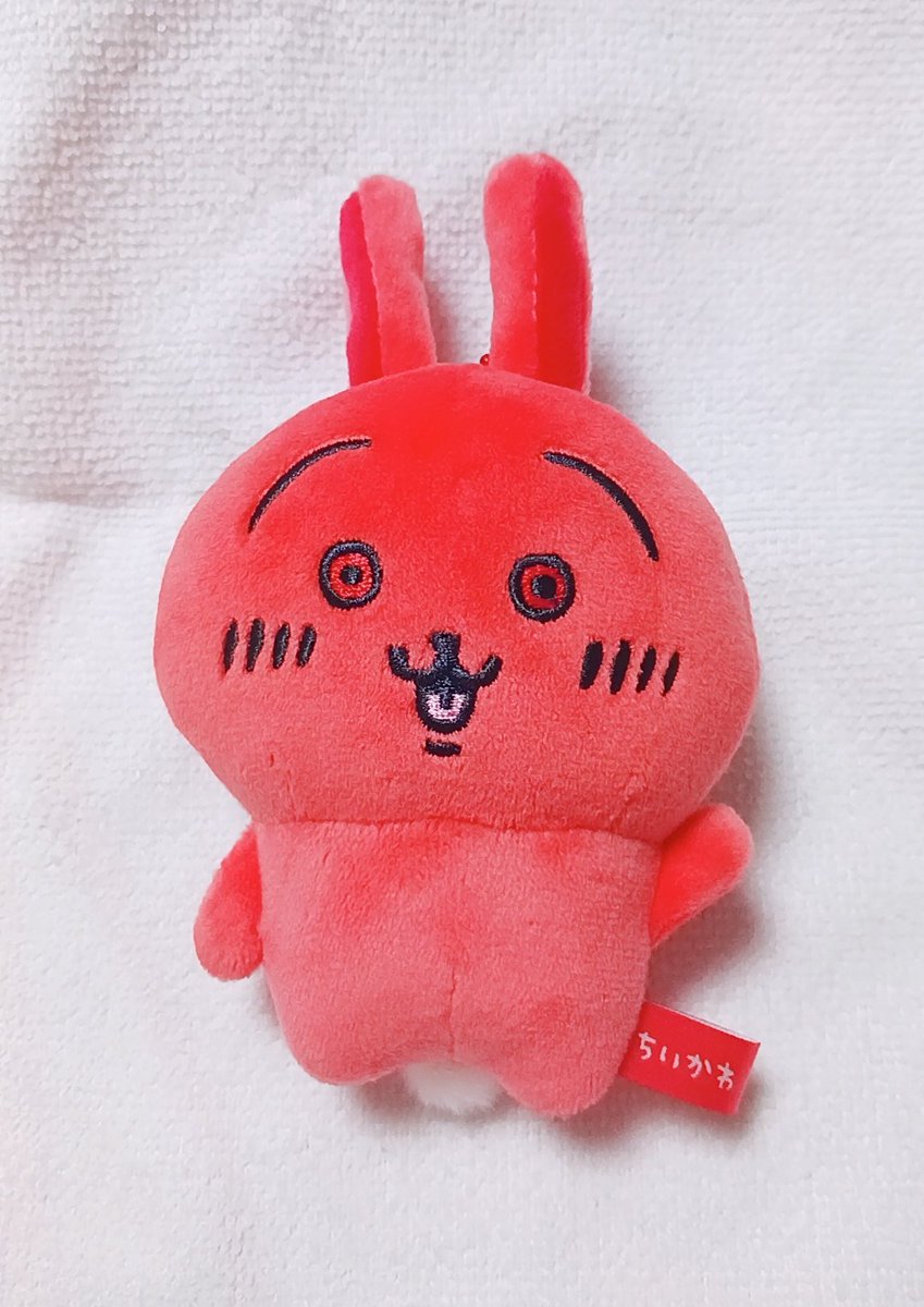 墨ちゃん tweet media