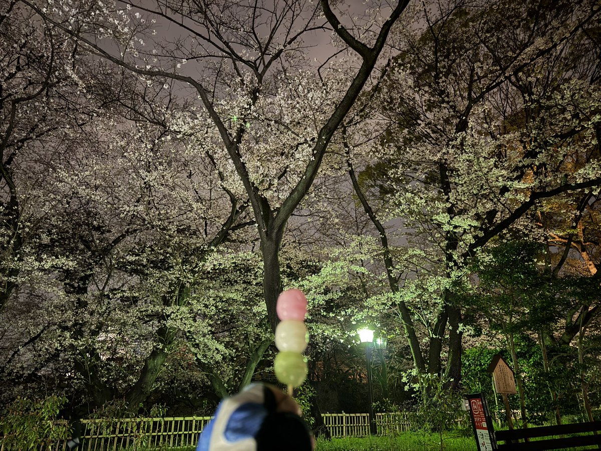 クマ@次戦！ARにほんばしフレッシュ！ tweet media