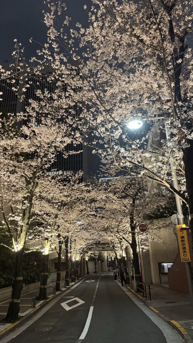 Takuya Matsumoto | Intersect tweet media