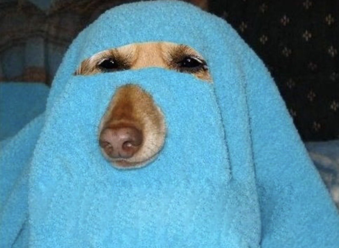 Zilmarillion tweet media