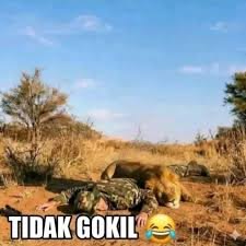 N🅰️N 😛 tweet media