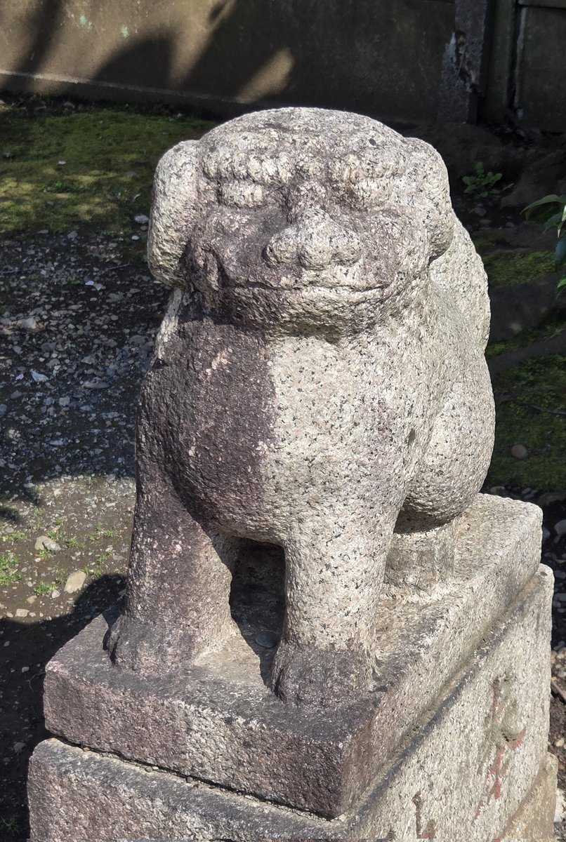 べティ tweet media