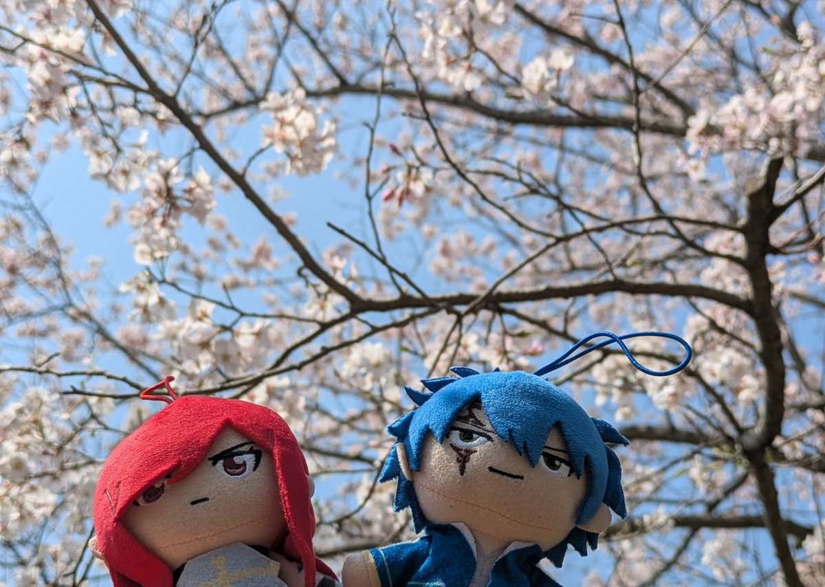 なつみさん tweet media