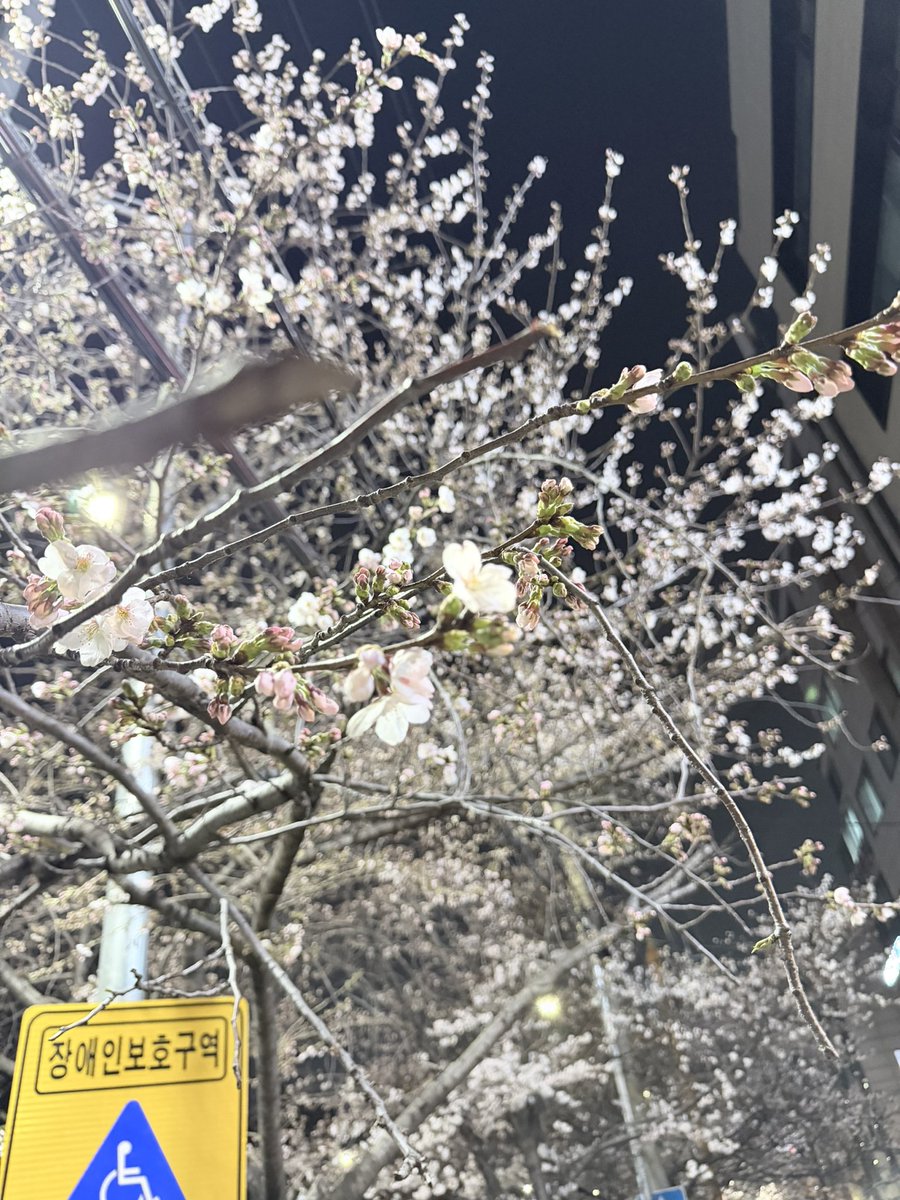 Yongsu Choi tweet media