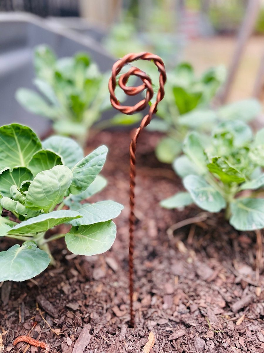 Karomo Richú tweet media