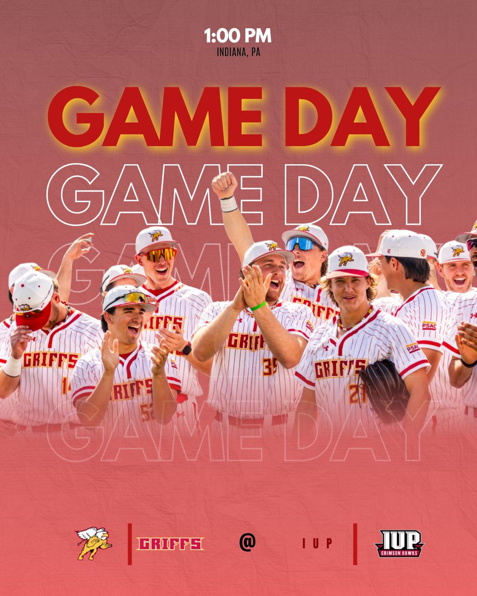 Seton Hill Baseball tweet media