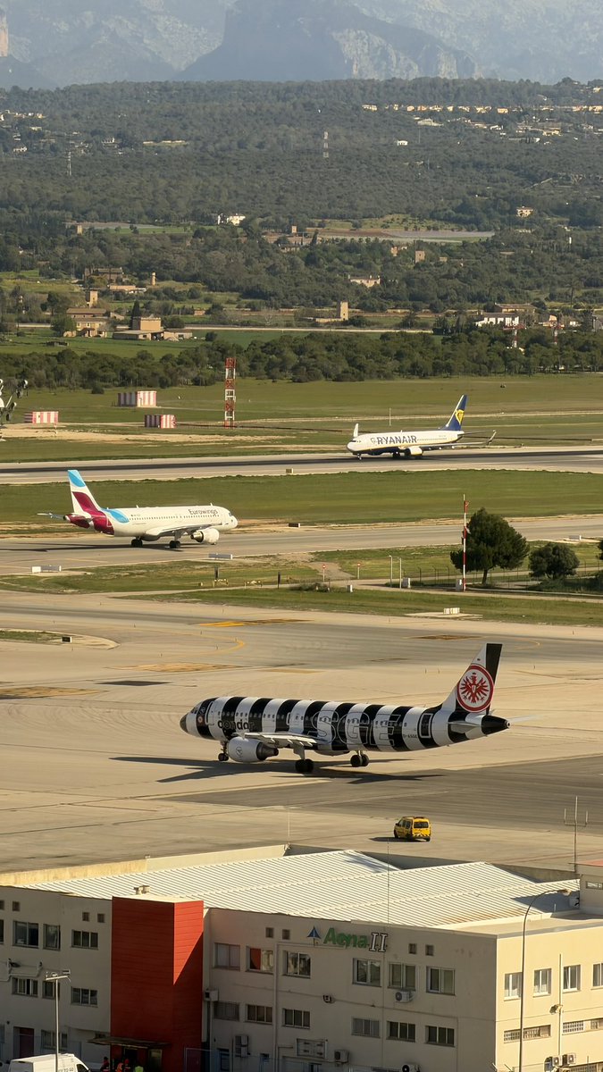 maría 💭 tweet media