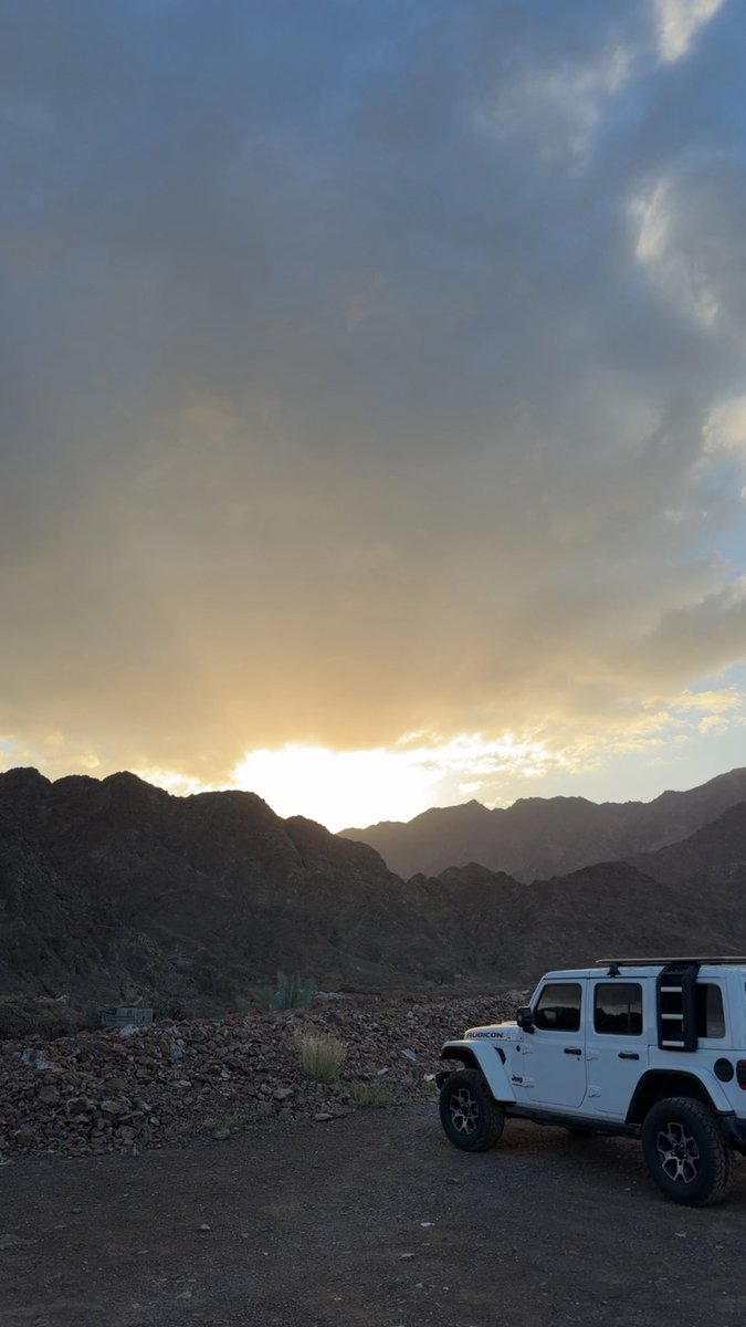 مايد الشامسي tweet media