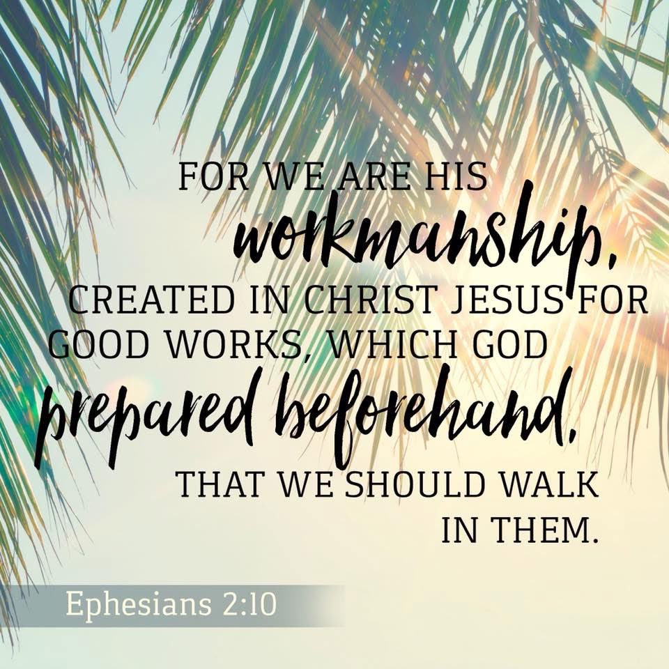 Jim Suttle tweet media