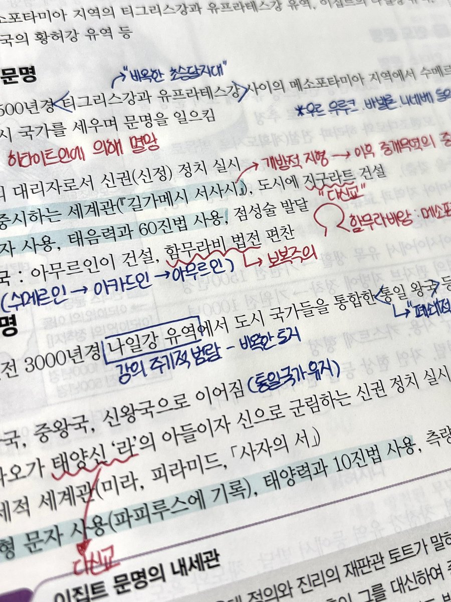 옹심이 (상태:반수) tweet media