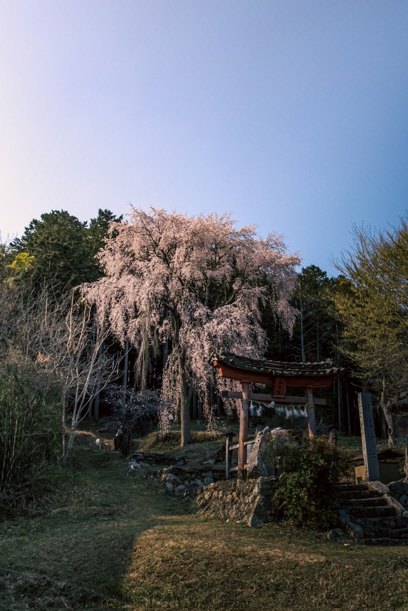 ゆー🦅 tweet media