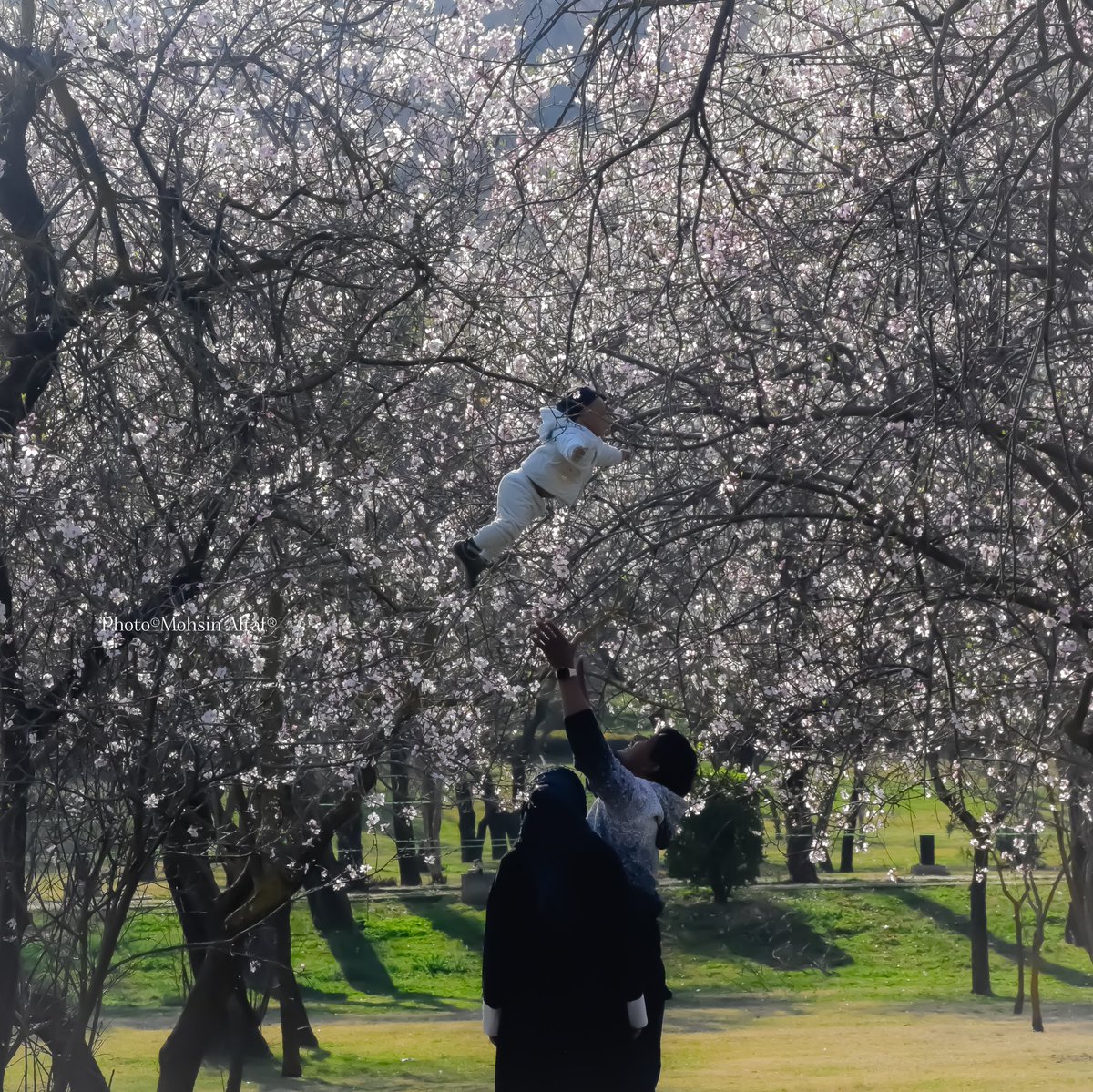 𝐌𝐨𝐡𝐬𝐢𝐧 𝐀𝐥𝐭𝐚𝐟 (محسن ألطاف حسنين) tweet media