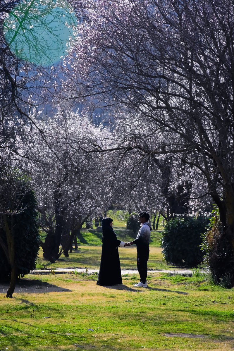 𝐌𝐨𝐡𝐬𝐢𝐧 𝐀𝐥𝐭𝐚𝐟 (محسن ألطاف حسنين) tweet media