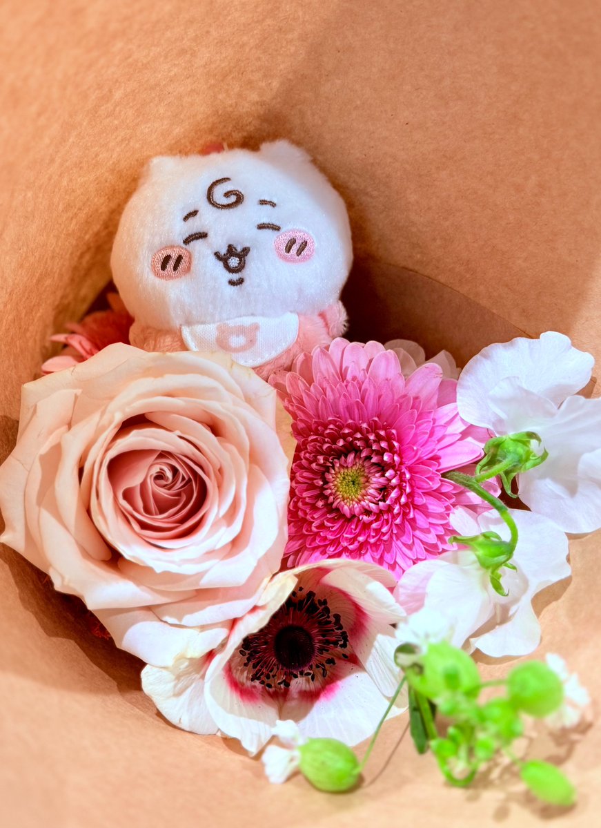 SHO(セクシーいけだ) tweet media