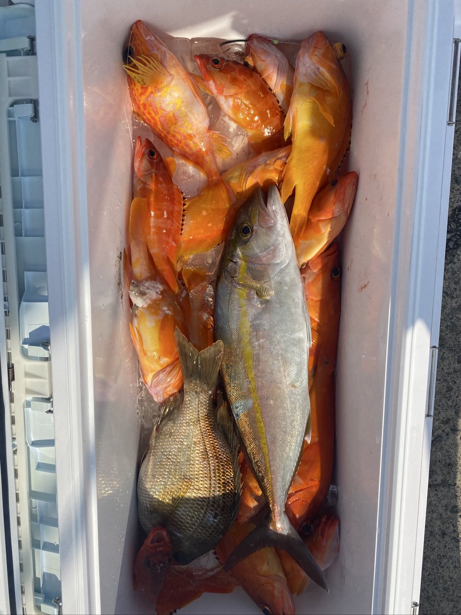 室戸 第三十八須美丸(遊漁船) tweet media