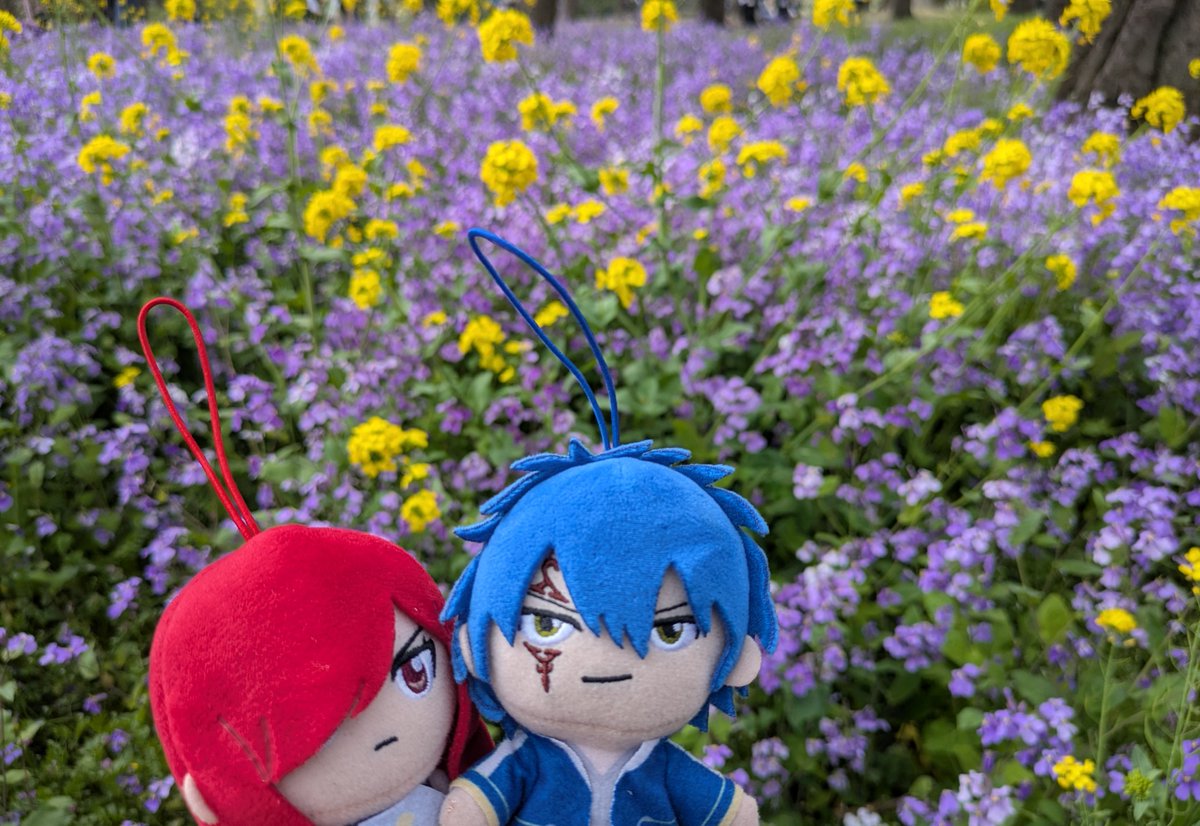 なつみさん tweet media