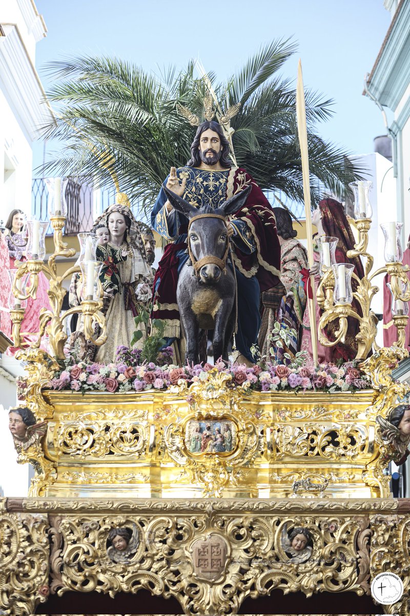 Provincia Cofrade tweet media