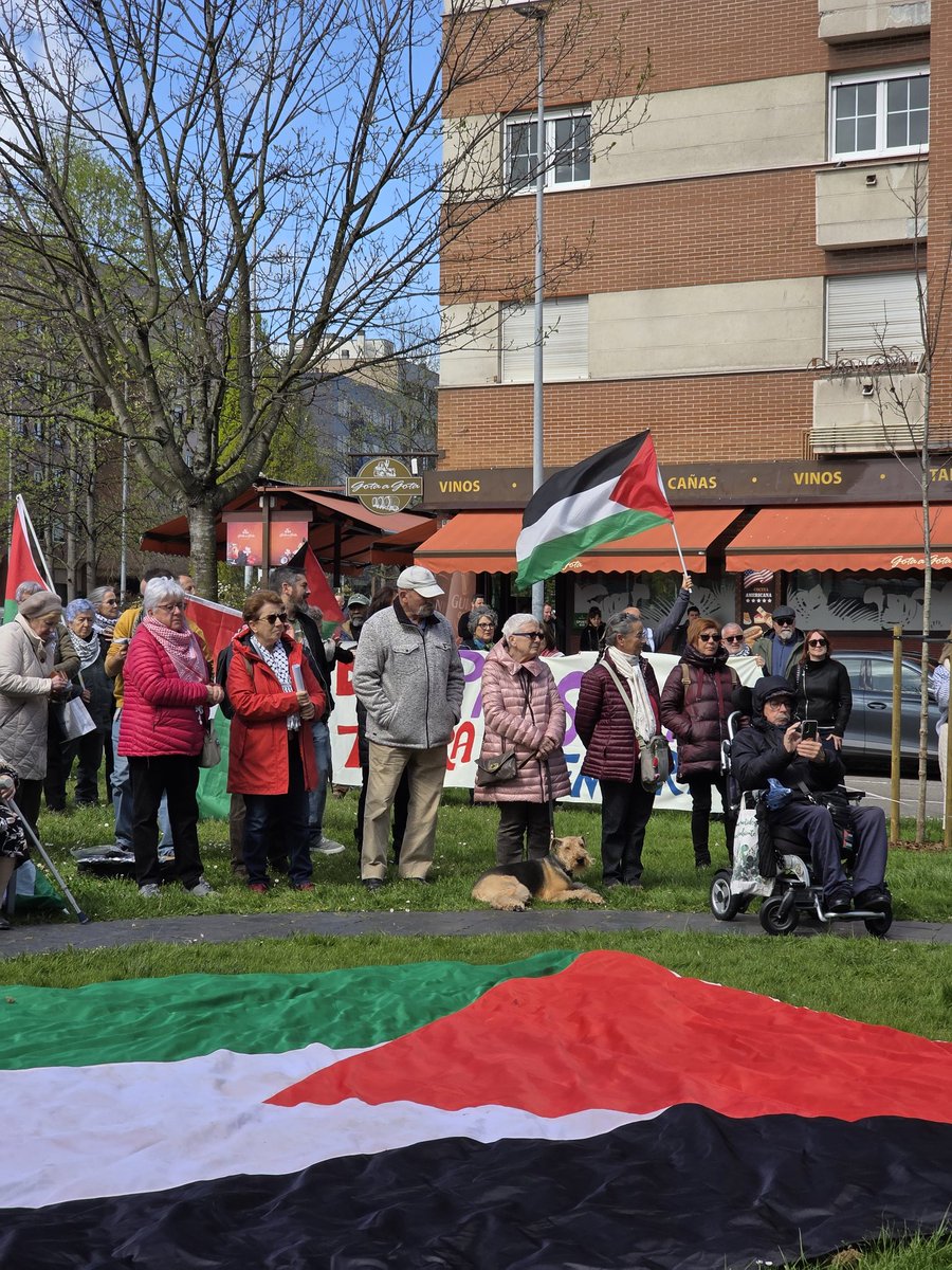 IU Xixón 🔻🇵🇸 tweet media