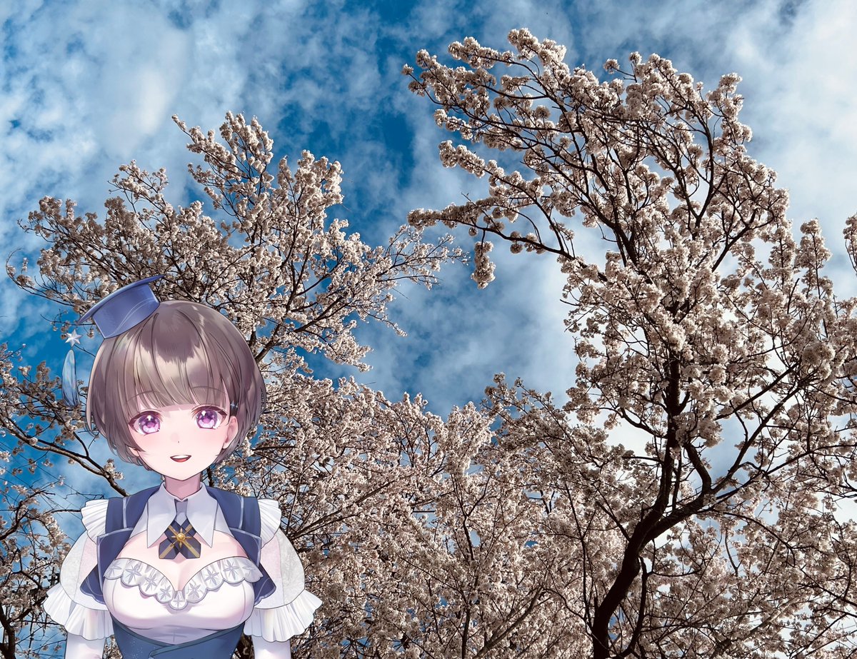 ハルモニティ-harmonity- tweet media