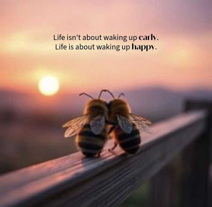 POSITIVITY tweet media