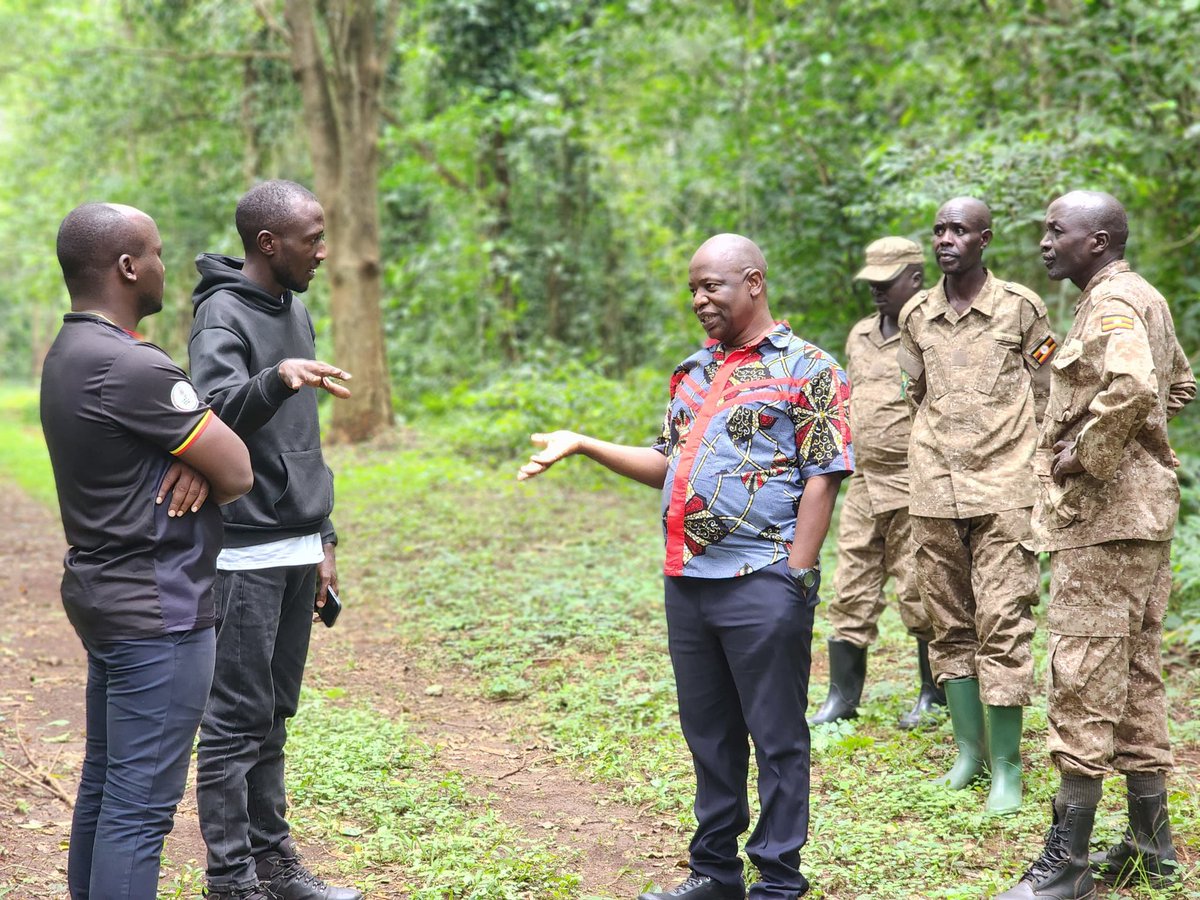 JamesThembo_'s tweet photo. Yesterday started with a drive down to #Bigodi_Trading_Center, but it quickly turned into something much bigger. 

Deep in #Kibale_Forest_National_Park, I got a firsthand look at the @ugwildlife #UWA_FACE project, where over 10,000 hectares of forest 🌱 are not just protected, but brought back to life through restoration. 

Along the way, I sat down with Richard and Alfso. We talked through the real, everyday challenge of human-wildlife conflict 🐘 vs 👨🏾‍🌾 , how benefit-sharing actually works for communities and the livelihoods growing alongside conservation and protection. 

Then came the unexpected twist.  On our way back through the forest, we spotted #Chimpanzees 🐒 quietly moving through the #Forest. Alfso smiled and said we were very lucky 👉 you don’t usually see them in that part of the forest. Footsteps of buffalos and elephants were spotted too. 

A reminder that sometimes, when restoration works… nature shows up to say 👉 thank you 👏🤝👌