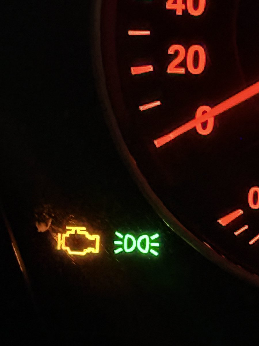 がもてぐら。 tweet media