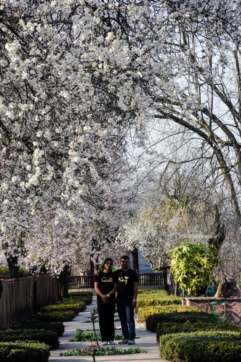 𝐌𝐨𝐡𝐬𝐢𝐧 𝐀𝐥𝐭𝐚𝐟 (محسن ألطاف حسنين) tweet media