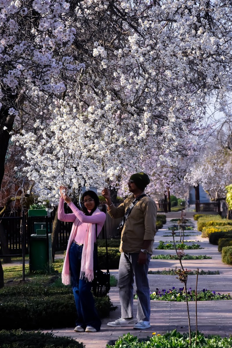 𝐌𝐨𝐡𝐬𝐢𝐧 𝐀𝐥𝐭𝐚𝐟 (محسن ألطاف حسنين) tweet media