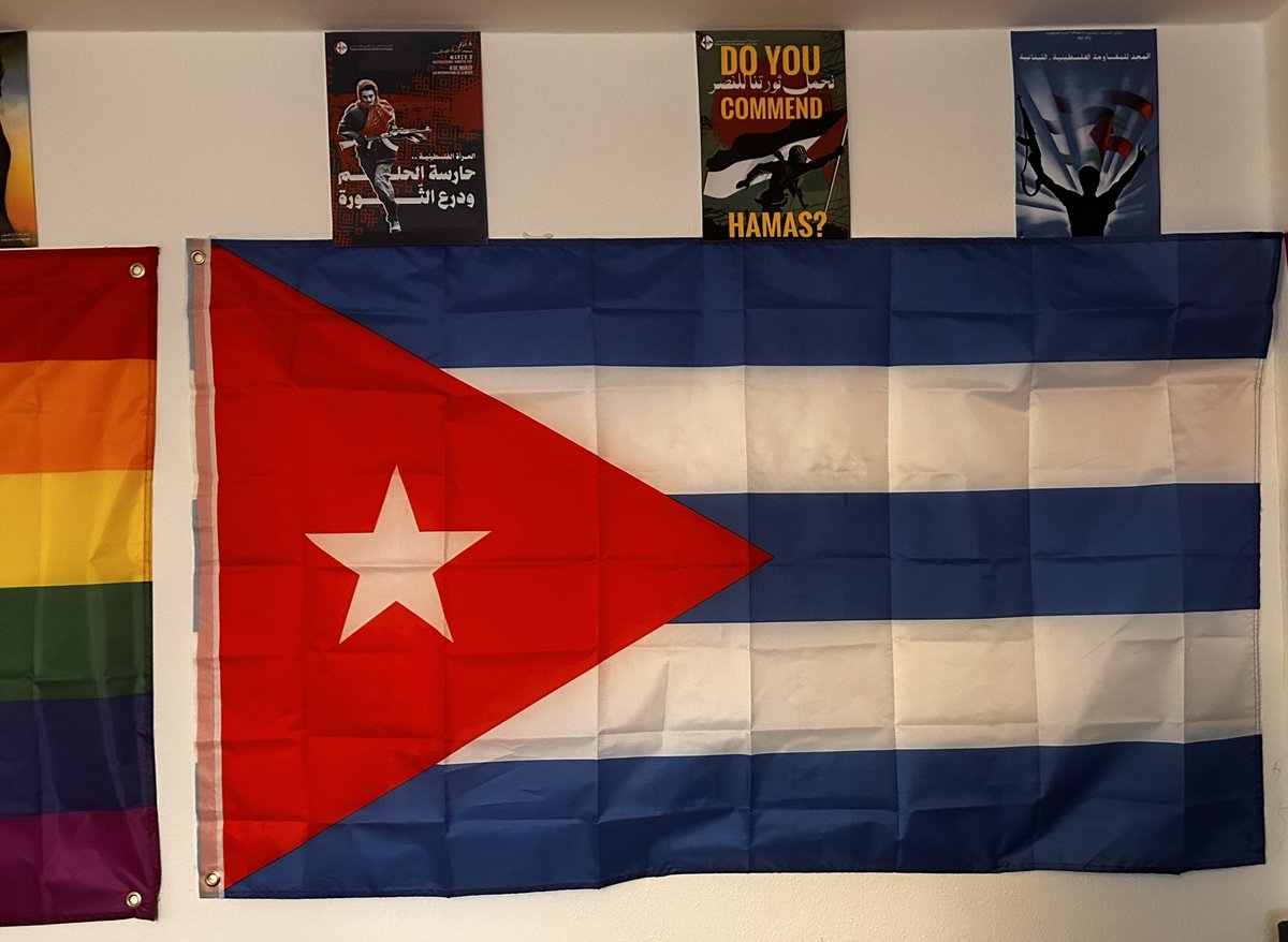 Simple Tanturi ☭🇵🇸🏳️‍⚧️ tweet media