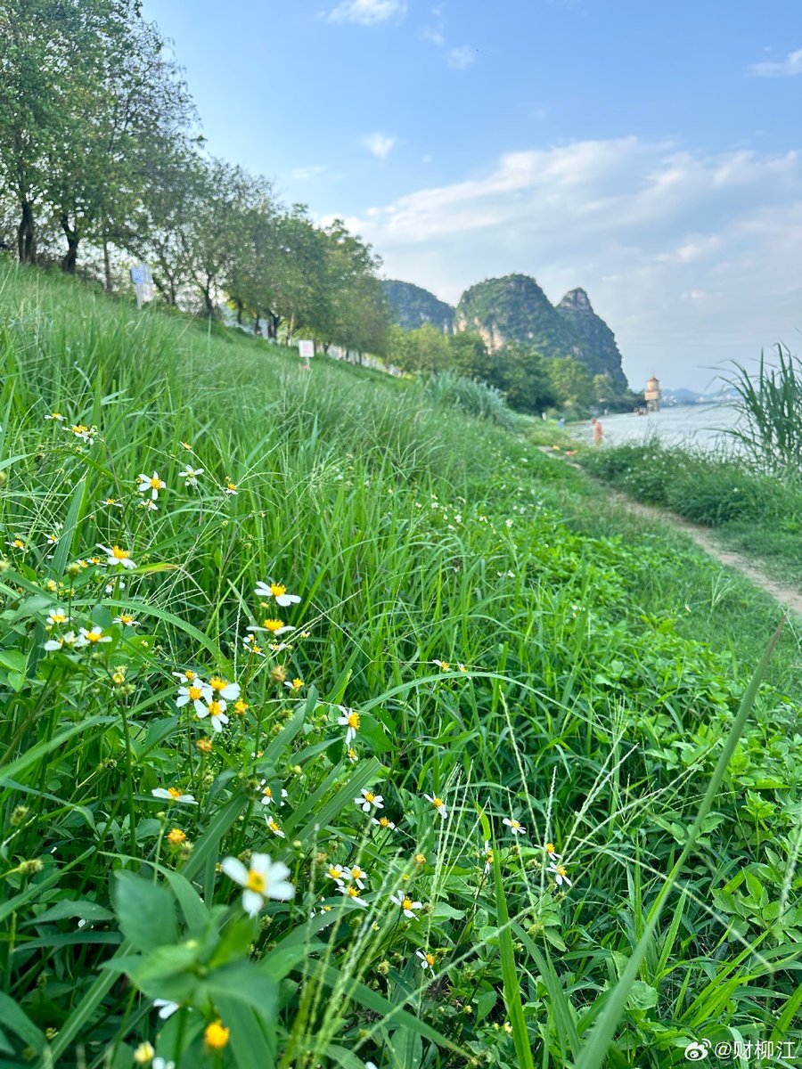 AMBAR CHAKRAVARTY tweet media