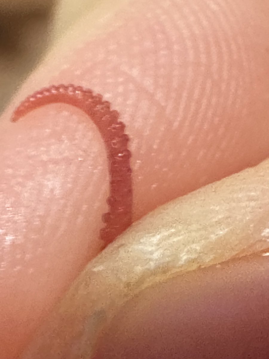 かわず🍁 tweet media