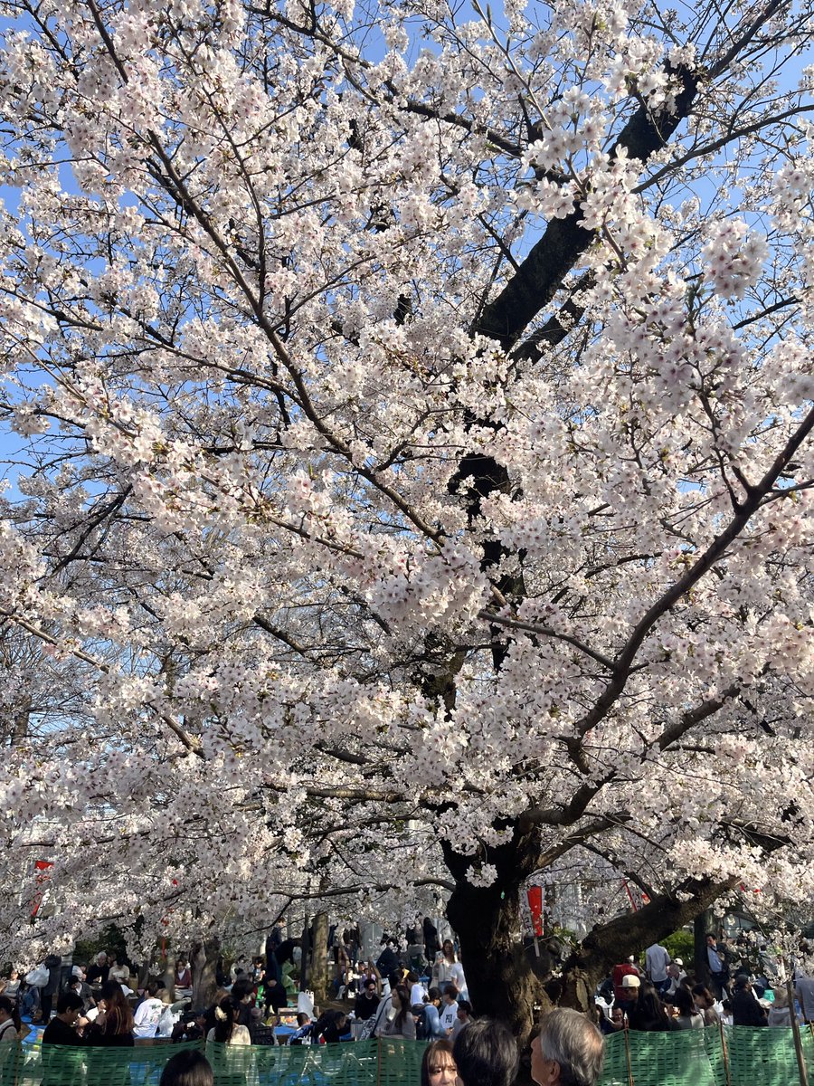 タスカータソルテ tweet media