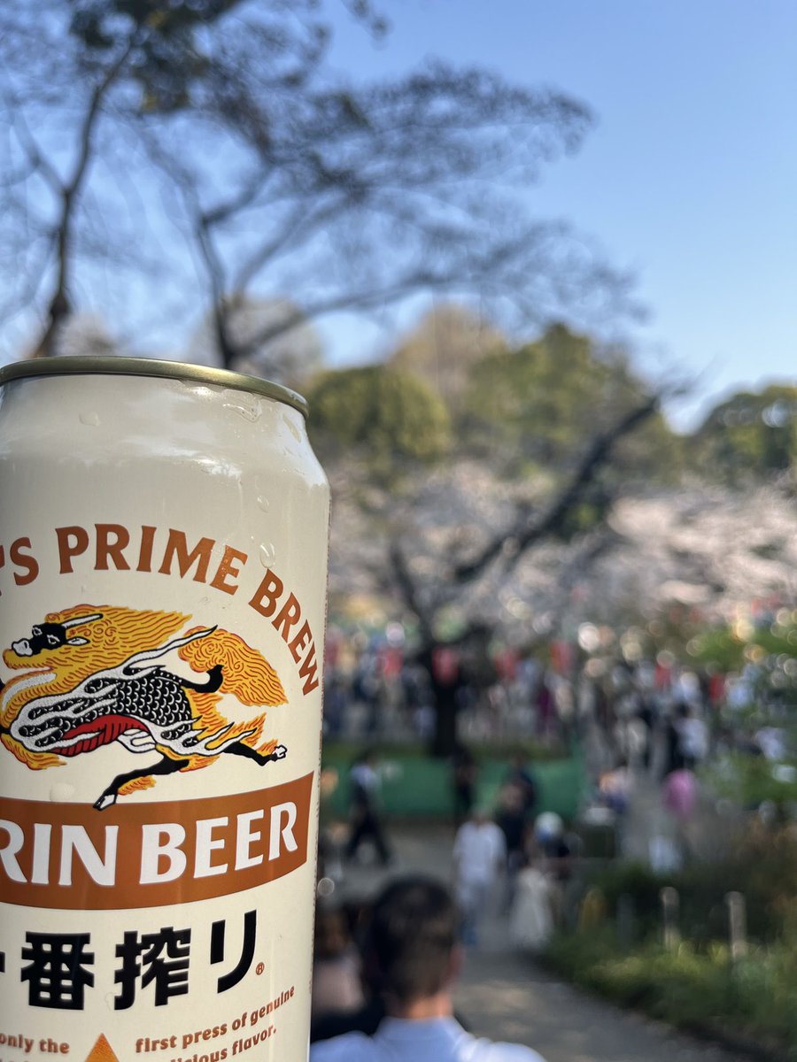 タスカータソルテ tweet media