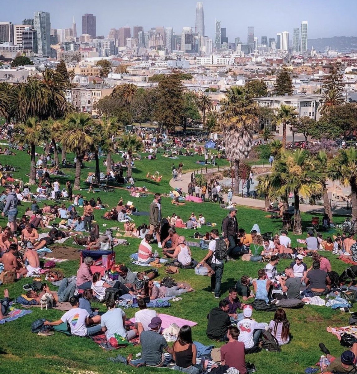 ₕₐₘₚₜₒₙ tweet media