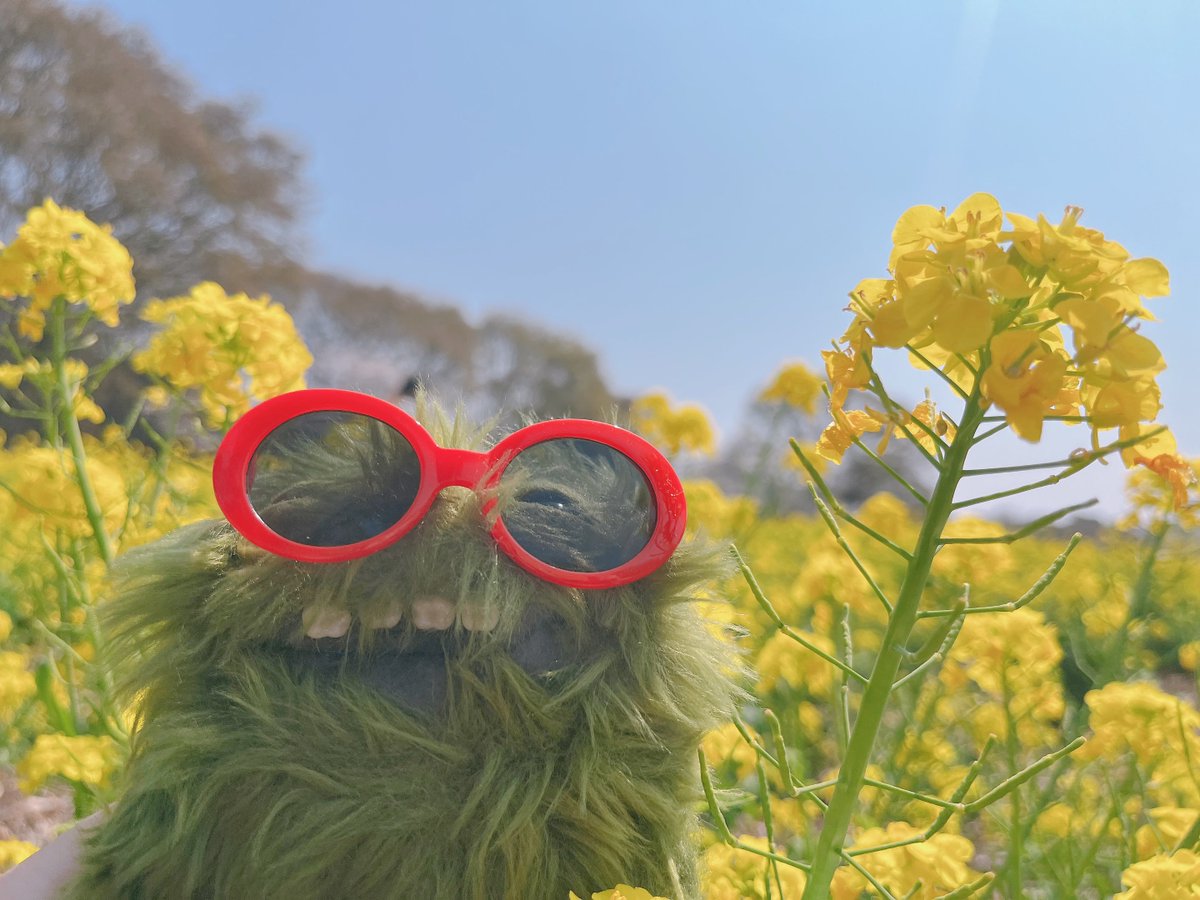 らいね tweet media