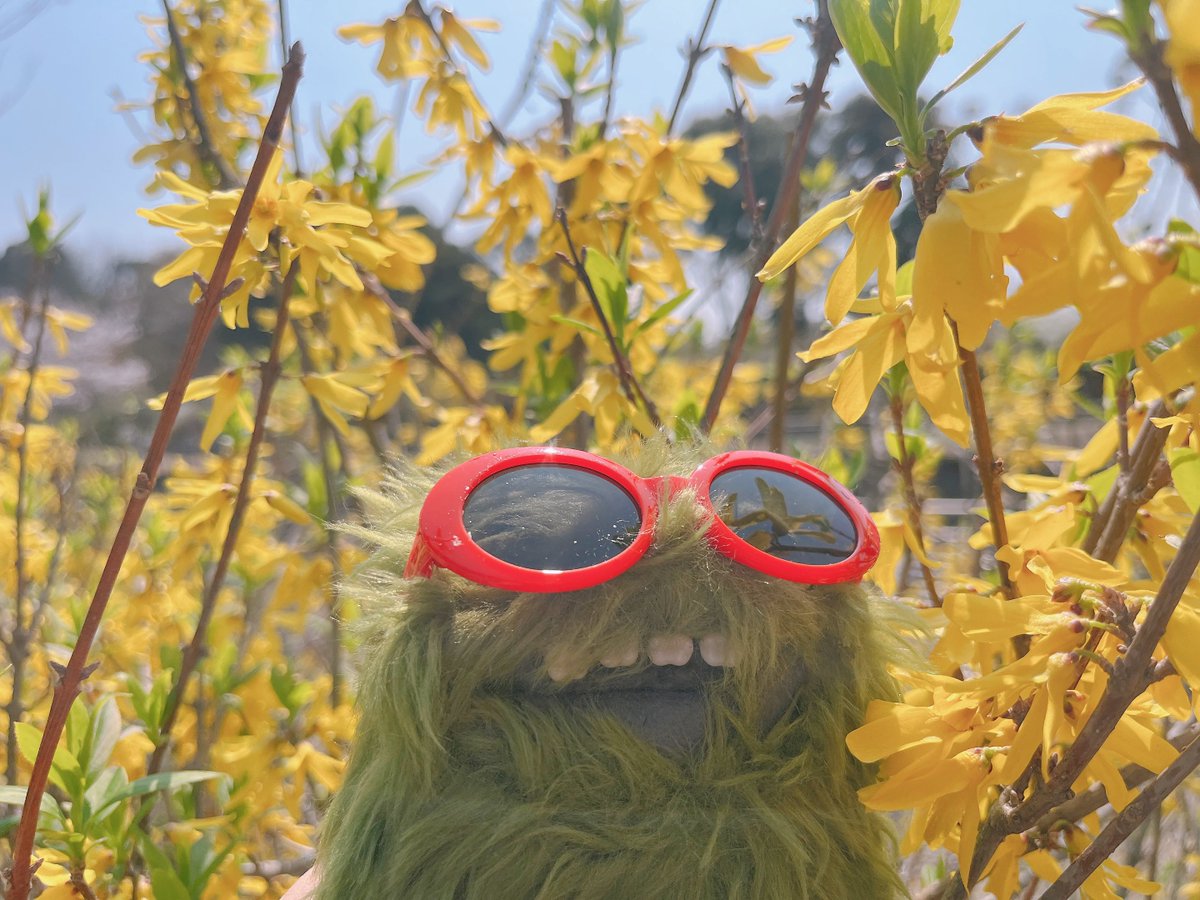 らいね tweet media