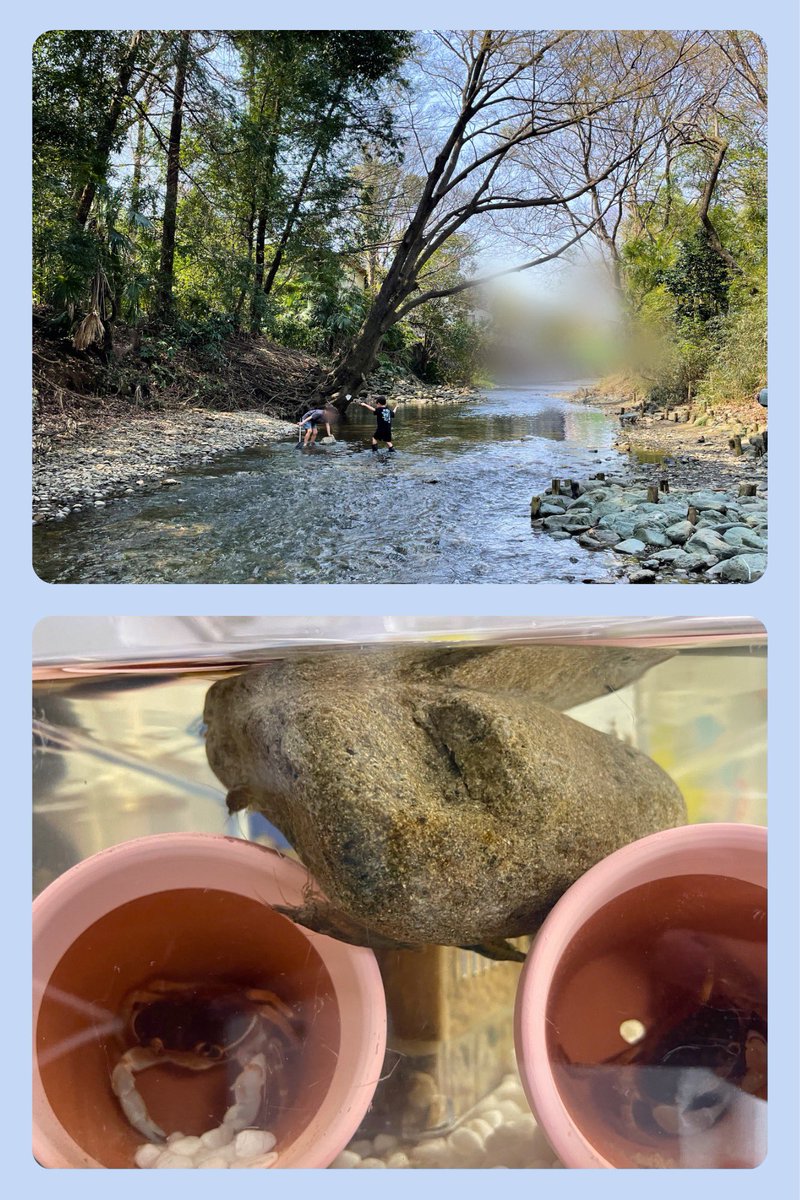 なんたろ｜子育て工夫ing（３児の父） tweet media