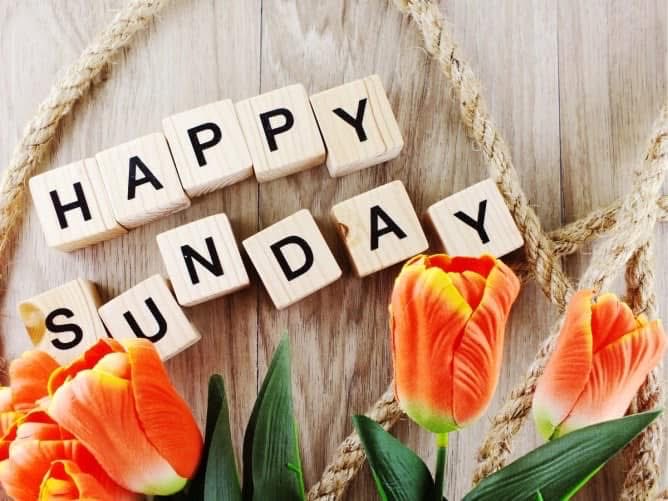 joanie_tweet's tweet image. Good Sunday Morning! 
Sending a Sunday Smile to Everyone that Comes With the Love in My Heart.
I Hope Your Day is Beautiful…
Right From the Very Start! 
😊❤️🤗
#Smile #Heart #SundayVibe