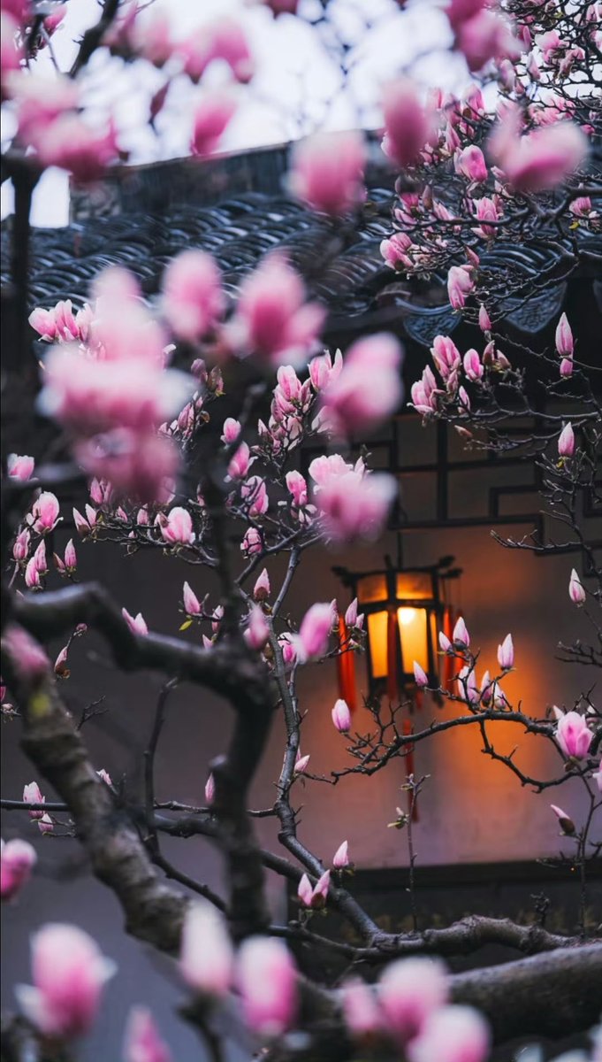 CcEva_'s tweet image. 古建築與花🌺
Ancient buildings and flowers.

#Landscapes  
#ancientart 
#ChineseStyle