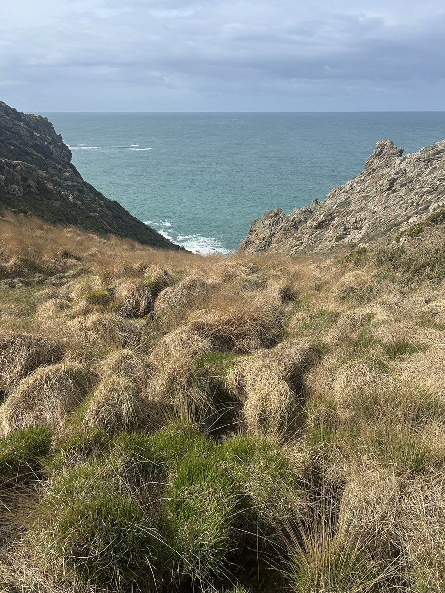 Pete Jones tweet media