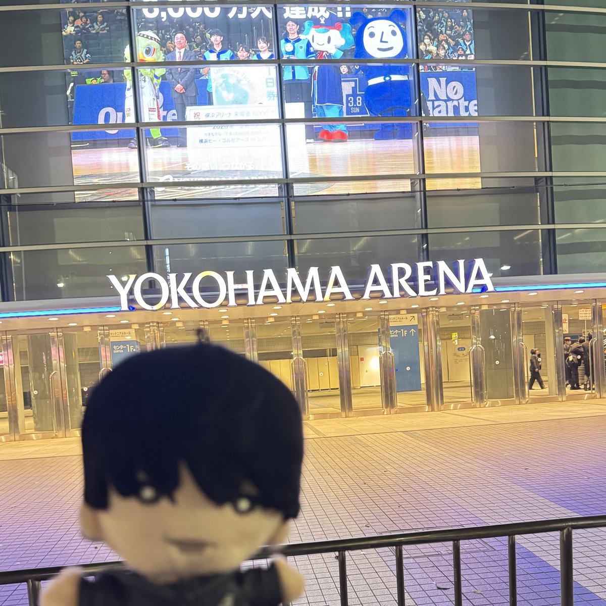 草ㄘゃꩢ tweet media