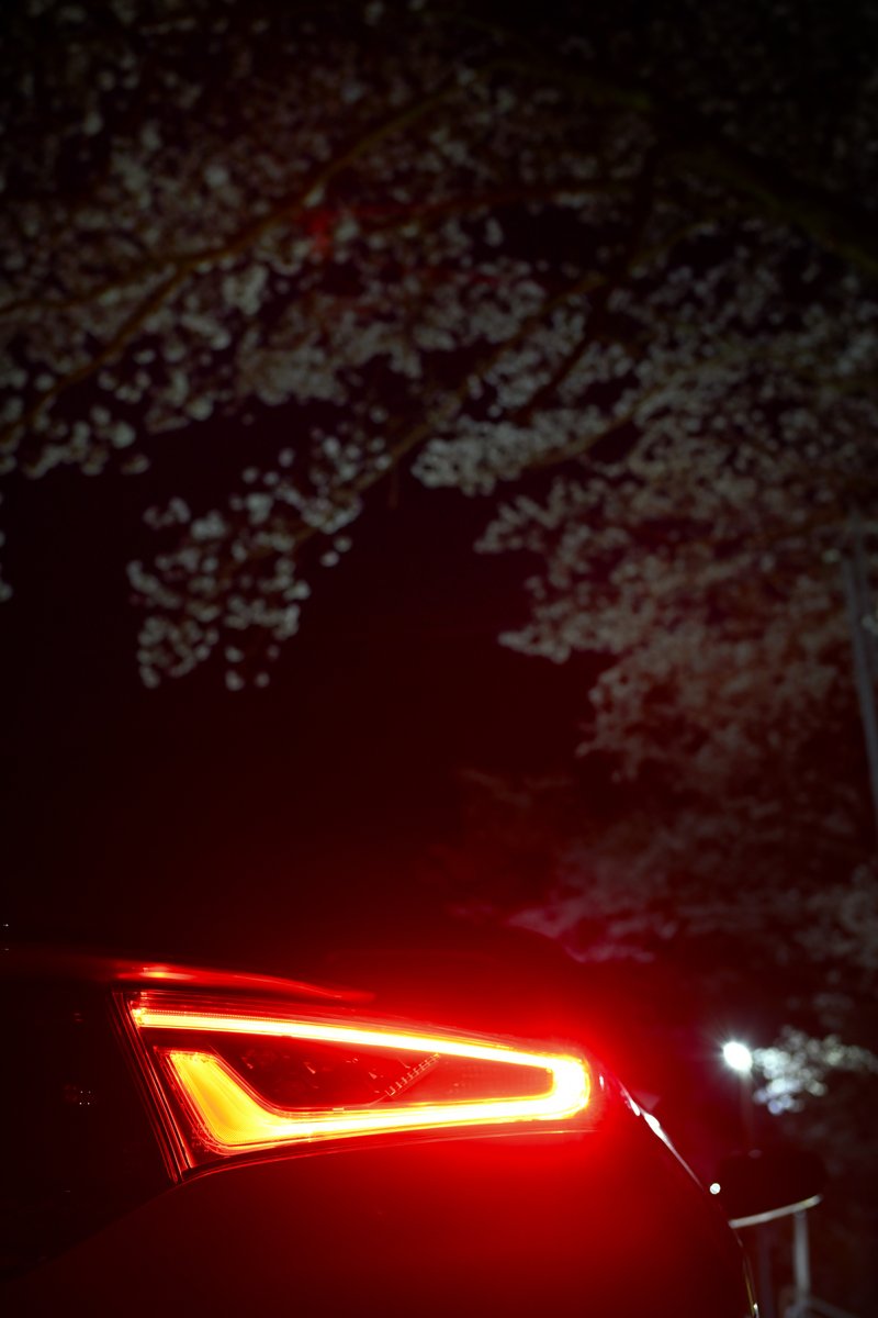 N_frs's tweet photo. 今年は咲くのが早かったですね。 週後半の雨で散ってしまいそうなので、S660と夜桜の下へ https://t.co/2Dey9jizWL